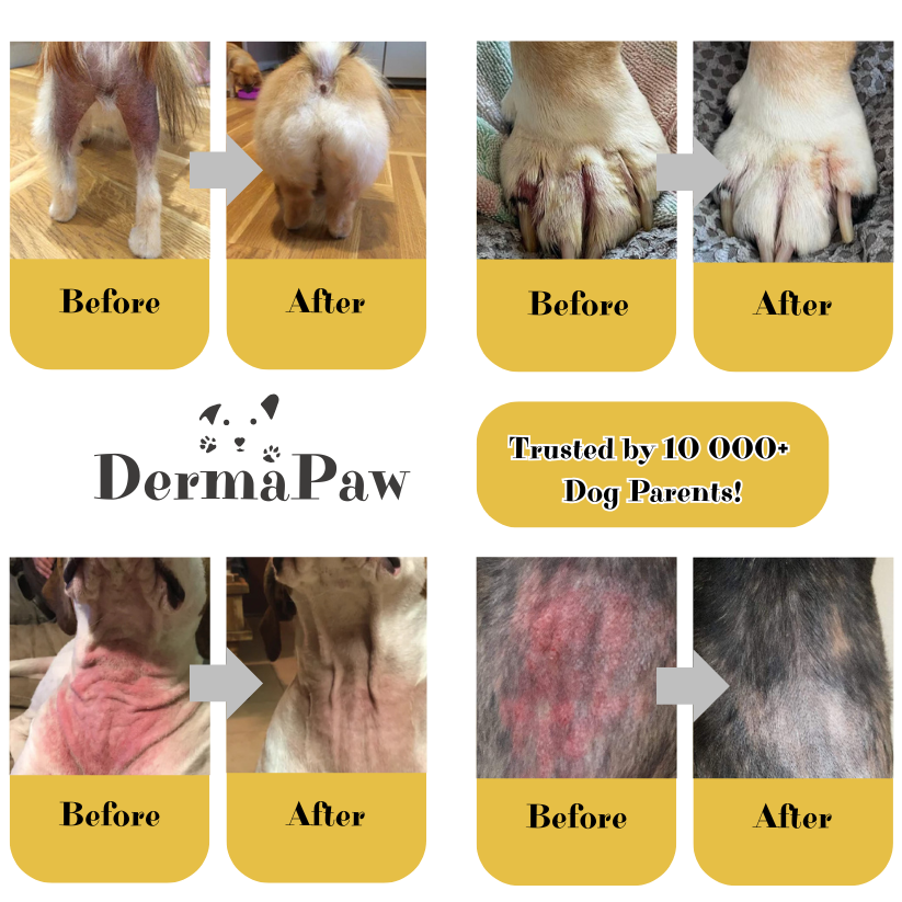 DermaPaw - Skin Relief Spray